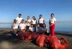 10 Pasang Finalis Jegeg Bagus Buleleng Melaksanakan Kegiatan Bersih Pantai & Outbond