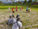 Tim Si Bolang Trans 7 Melakukan Syuting Menangkap Bebek Di sawah Dan Melakukan Permainan Tradisional Megoak-goakan